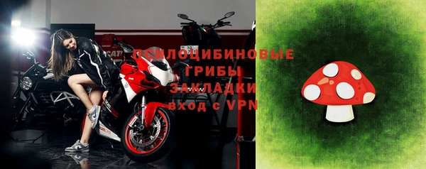 прущий лед Аркадак