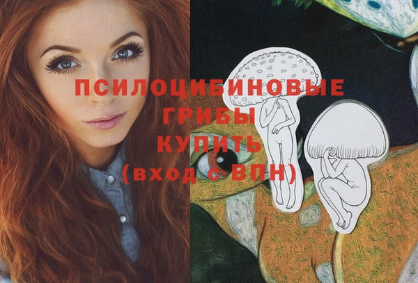 трава Армянск