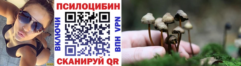 Псилоцибиновые грибы прущие грибы  Макушино 