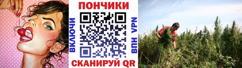 Канабис Bruce Banner  Макушино 